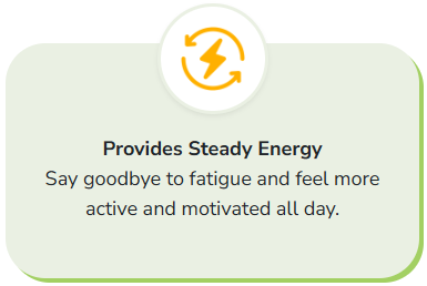 Icon of a lightning bolt surrounded by circular arrows, representing sustained energy throughout the day.