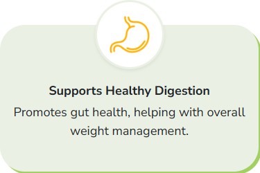 Lipozem Official - digestive health, supporting gut function and weight management.